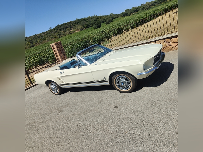 Ford MUSTANG Coupé 1967 te koop - Gallery Aaldering Ford MUSTANG Coupé 1967 te koop - Gallery Aaldering