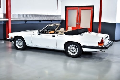 1992 Jaguar XJS Convertible 5,3L V12 En venta (imagen 19 de 104)