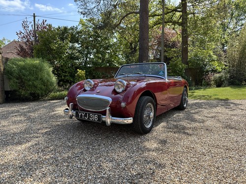 1961 Austin-Healey Sprite Mk1 Te koop (foto 2 van 31)