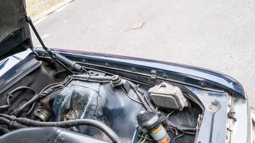 1979 Mercedes-Benz 350 SE (W116) zum Verkauf (Bild 200 von 270)