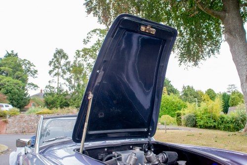 1999 Sebring MX 4.6L V8 For Sale (picture 80 of 105)