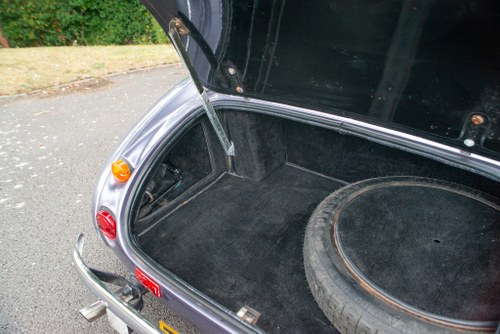 1999 Sebring MX 4.6L V8 For Sale (picture 38 of 105)