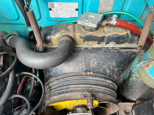 1979 Fiat 900T Amigo In vendita (immagine 155 di 194)