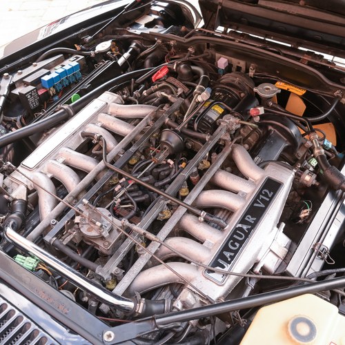 1992 Jaguar XJS In vendita (immagine 73 di 100)