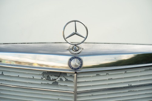 1982 Mercedes-Benz 230TE En venta (imagen 51 de 102)