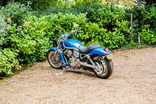 2003 Harley Davidson VRSCA V-Rod For Sale (picture 14 of 59)