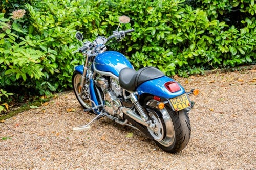 2003 Harley Davidson VRSCA V-Rod For Sale (picture 15 of 59)