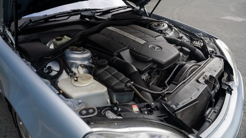 1999 Mercedes S500 W220 En venta (imagen 223 de 252)