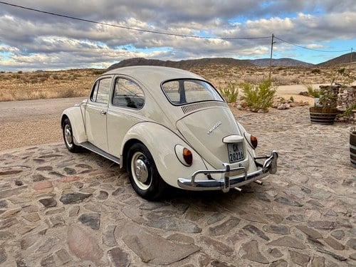 1967 Volkswagen Beetle 1500 Super Deluxe For Sale (picture 18 of 155)