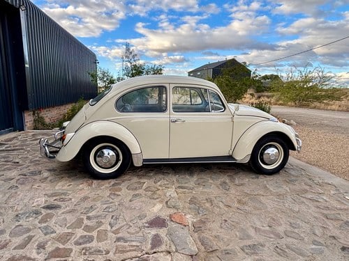 1967 Volkswagen Beetle 1500 Super Deluxe For Sale (picture 29 of 155)