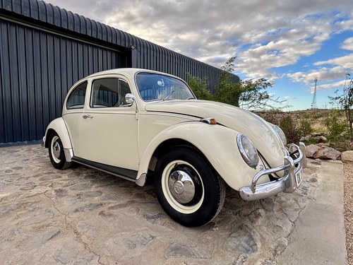 1967 Volkswagen Beetle 1500 Super Deluxe For Sale (picture 31 of 155)