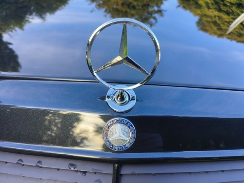 1991 Mercedes-Benz W124 300CE 24V ‘3.4L’ AMG 1 of 25 à vendre (picture 100 of 174)