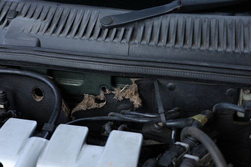 1999 Alfa Romeo 156 2.0 T Spark Lusso Manual zum Verkauf (Bild 243 von 275)