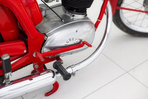 1954 MV Agusta 125 TR Te koop (foto 23 van 23)