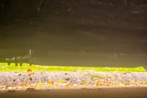 1990 Aston Martin Virage 6.3L 500bhp ‘Widebody’ RHD In vendita (immagine 137 di 180)