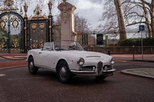 1965 ALFA ROMEO Giulia spider 1600 Kaufen Bei