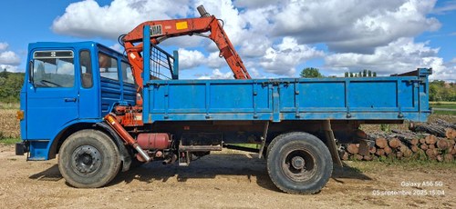 1975 SAVIEM SM 200 SM 21 240 _ Grue À venda