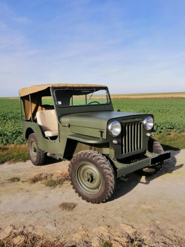 1960 JEEP Willys À venda