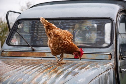 1959 Citroën 2CV Van For Sale (picture 85 of 141)