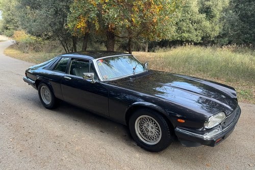 1988 Jaguar XJ-S Manual LHD In vendita (immagine 2 di 44)