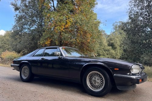 1988 Jaguar XJ-S Manual LHD In vendita (immagine 3 di 44)