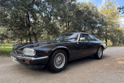 1988 Jaguar XJ-S Manual LHD In vendita (immagine 6 di 44)