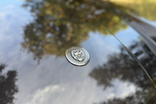 1988 Jaguar XJ-S Manual LHD In vendita (immagine 34 di 44)