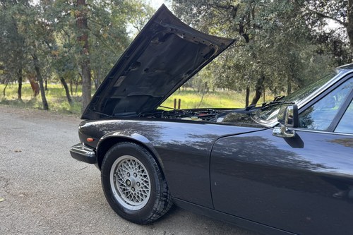 1988 Jaguar XJ-S Manual LHD In vendita (immagine 38 di 44)