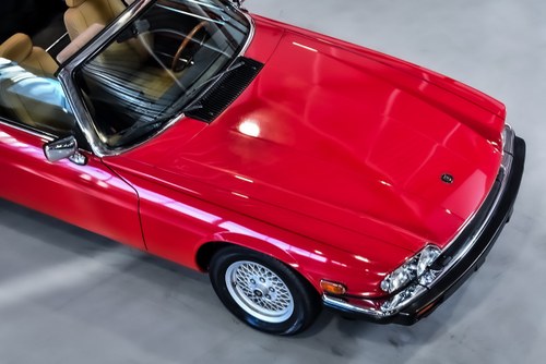 1989 Jaguar XJS Convertible 4,0L I6 In vendita (immagine 58 di 75)