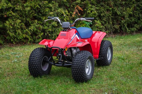 1980 Honda TRX 70 En venta (imagen 2 de 24)