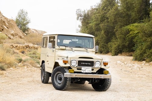 1982 Toyota FJ40 En venta (imagen 2 de 238)