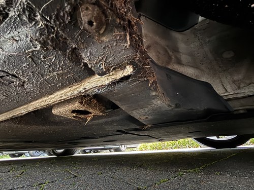 2012 Porsche 991.1 911 Carrera S Convertible Manual In vendita (immagine 178 di 199)