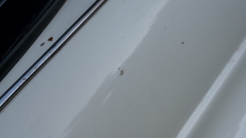 1967 Triumph TR4A IRS Surrey Top In vendita (immagine 166 di 252)