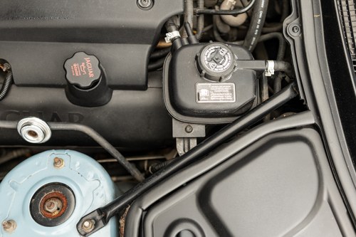 2004 Jaguar XK8 Convertible For Sale (picture 251 of 314)