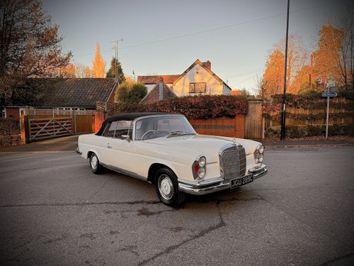 1965 Mercedes-Benz 220SEB Cabriolet W111 In vendita (immagine 16 di 281)