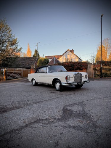 1965 Mercedes-Benz 220SEB Cabriolet W111 In vendita (immagine 17 di 281)