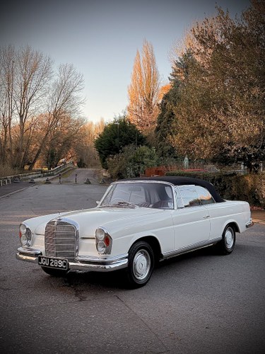 1965 Mercedes-Benz 220SEB Cabriolet W111 In vendita (immagine 29 di 281)