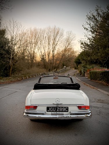 1965 Mercedes-Benz 220SEB Cabriolet W111 In vendita (immagine 43 di 281)