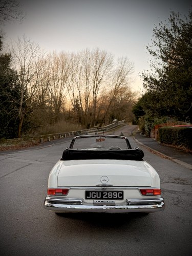1965 Mercedes-Benz 220SEB Cabriolet W111 In vendita (immagine 44 di 281)