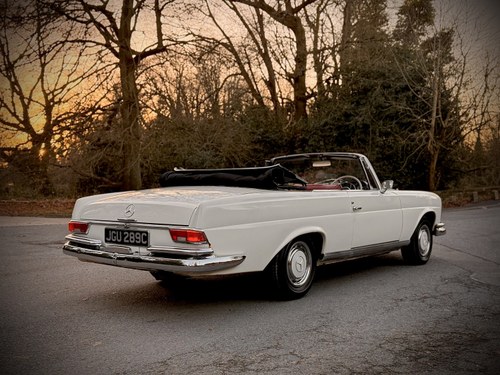 1965 Mercedes-Benz 220SEB Cabriolet W111 In vendita (immagine 52 di 281)