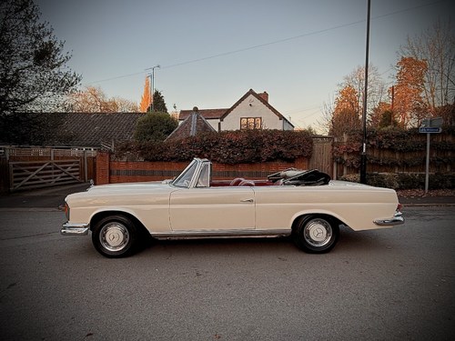 1965 Mercedes-Benz 220SEB Cabriolet W111 In vendita (immagine 75 di 281)
