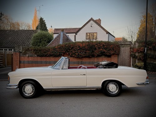1965 Mercedes-Benz 220SEB Cabriolet W111 In vendita (immagine 77 di 281)