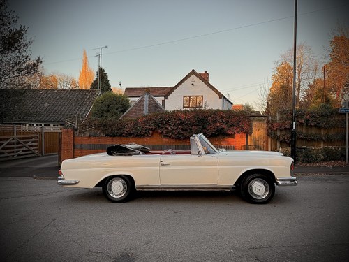 1965 Mercedes-Benz 220SEB Cabriolet W111 In vendita (immagine 81 di 281)