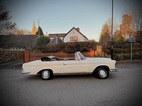 1965 Mercedes-Benz 220SEB Cabriolet W111 In vendita (immagine 84 di 281)