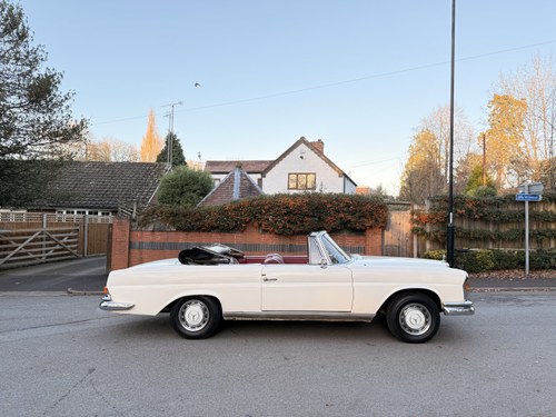 1965 Mercedes-Benz 220SEB Cabriolet W111 In vendita (immagine 86 di 281)
