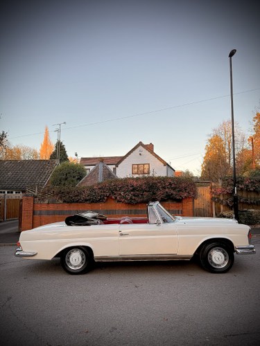 1965 Mercedes-Benz 220SEB Cabriolet W111 In vendita (immagine 87 di 281)