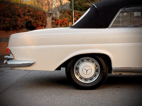 1965 Mercedes-Benz 220SEB Cabriolet W111 In vendita (immagine 104 di 281)