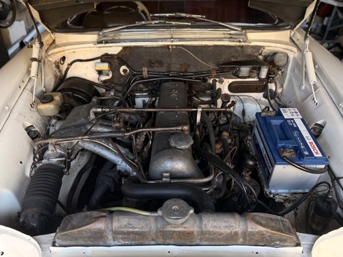 1965 Mercedes-Benz 220SEB Cabriolet W111 In vendita (immagine 230 di 281)