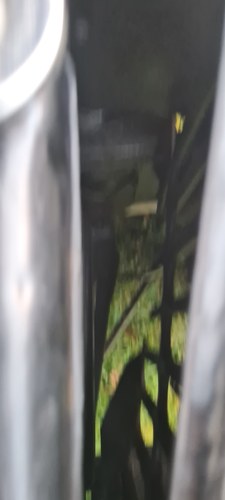 1971 Austin Mini Van Te koop (foto 192 van 224)