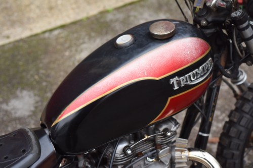 1981 Triumph Bonneville T140ES Flat Tracker zum Verkauf (Bild 33 von 79)